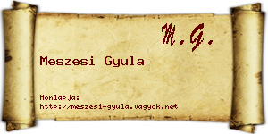 Meszesi Gyula névjegykártya